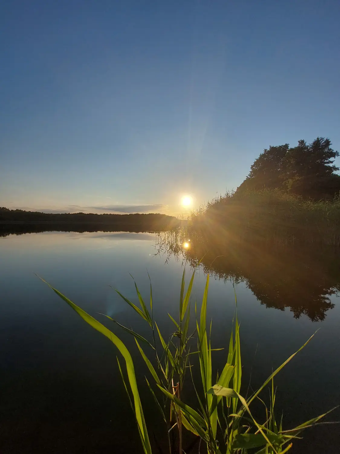 Ein ruhiger Sonnenuntergang über einem Gewässer, wahrscheinlich einem See oder Teich.